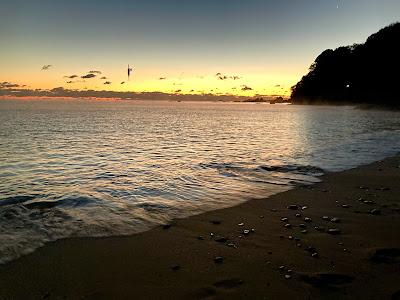 Sandee - Nashishi Beach