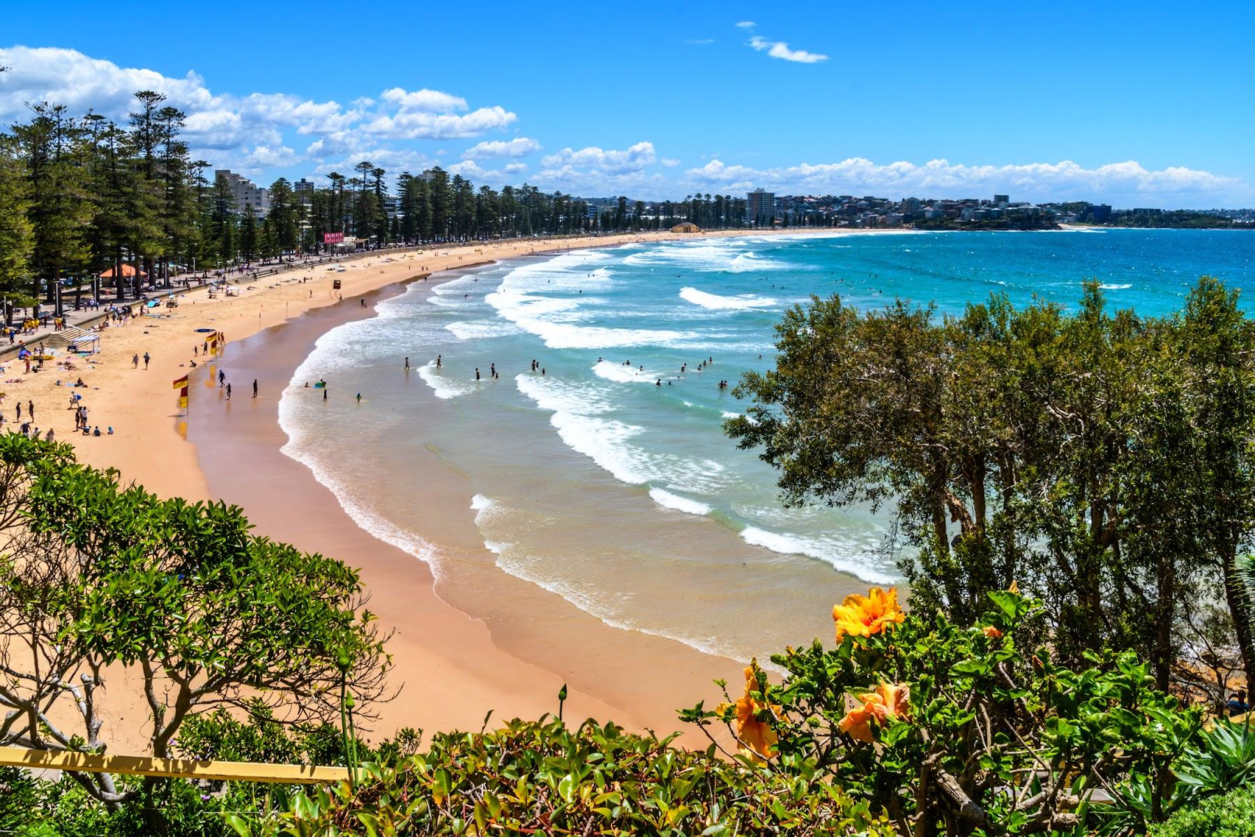 Sandee Manly Beach Photo