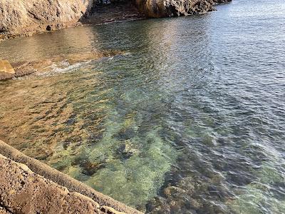 Sandee - Atagawa Coast Embankment