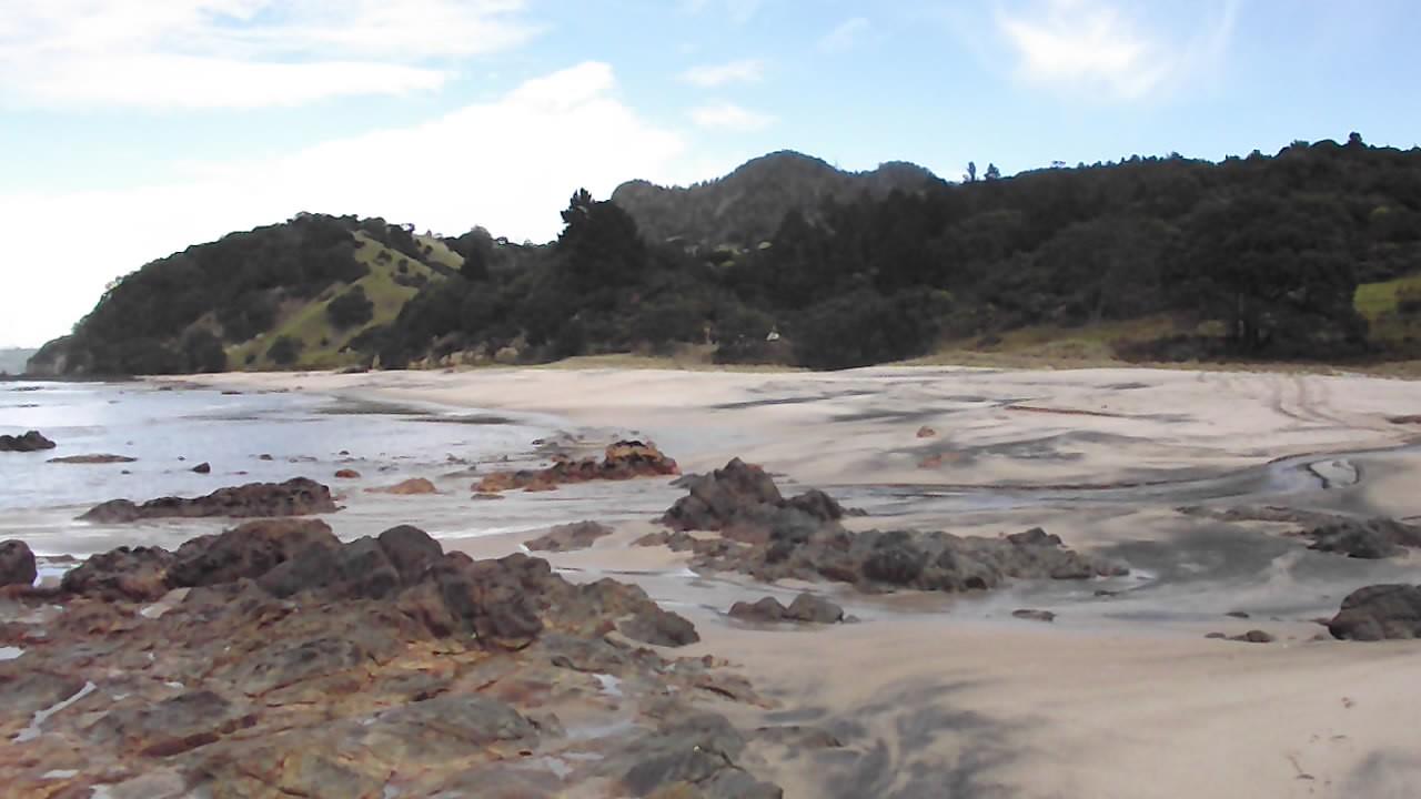 Sandee Whauwhau Beach