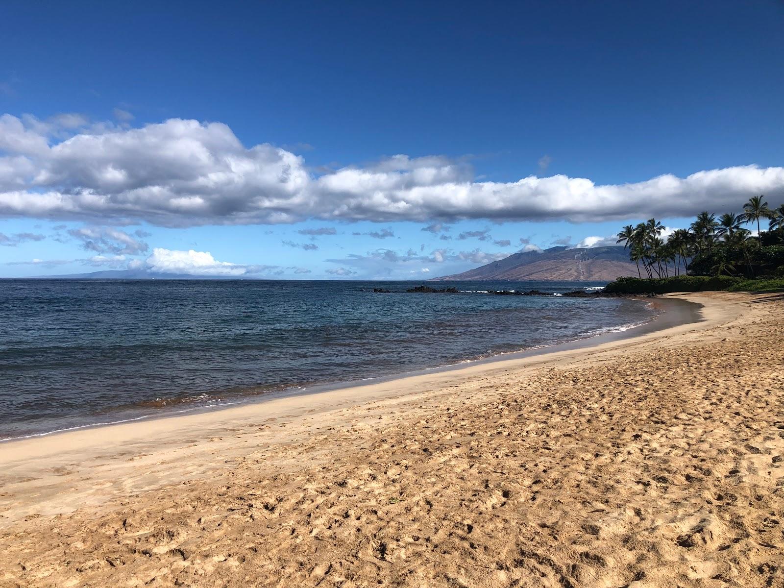 Sandee - Palauea Beach