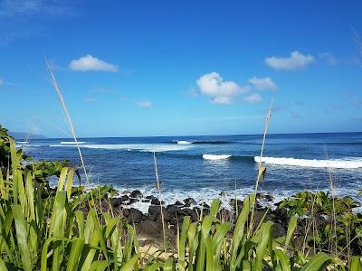 Sandee - Leftovers Beach Park