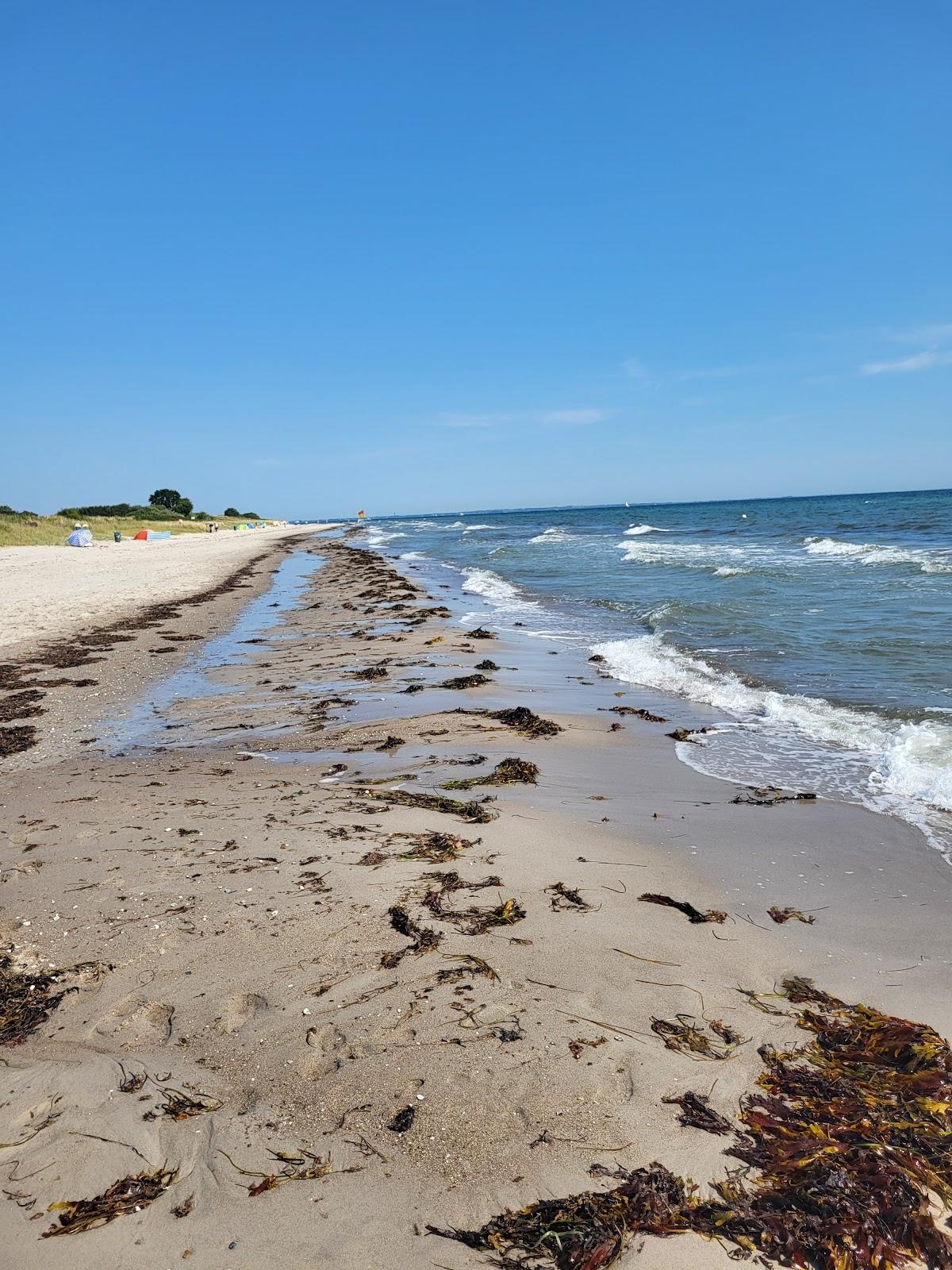 Sandee Golsmaas Strand