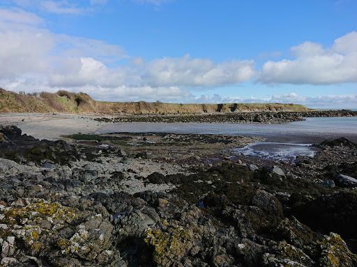 Sandee - Coney Hill Bay Beach