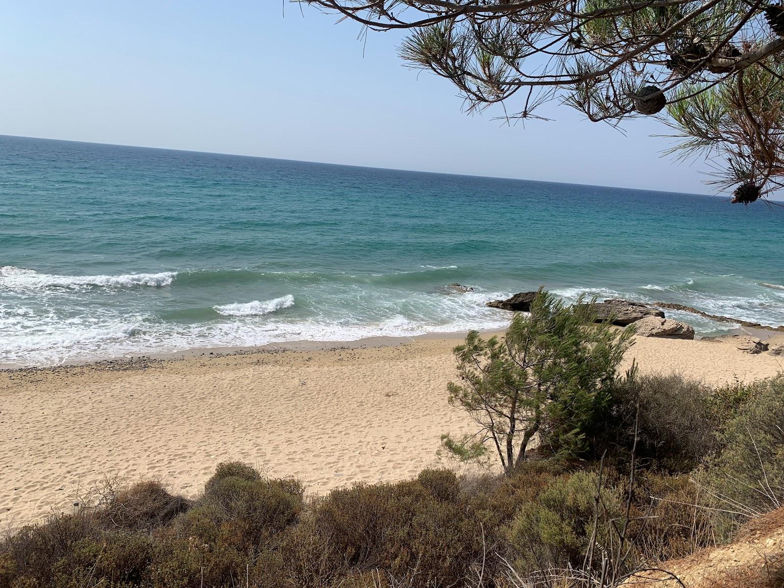 Sandee Coyota's Beach