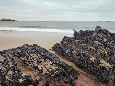 Sandee - Plage Du Lourtouais A Erquy