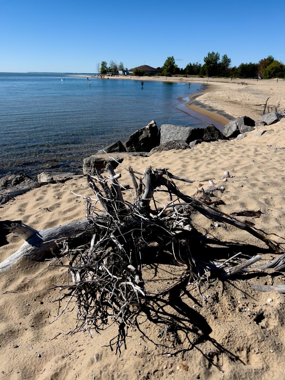 Sandee Tawas Point State Park Campground Photo