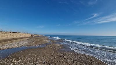 Sandee - Platja De La Pineda