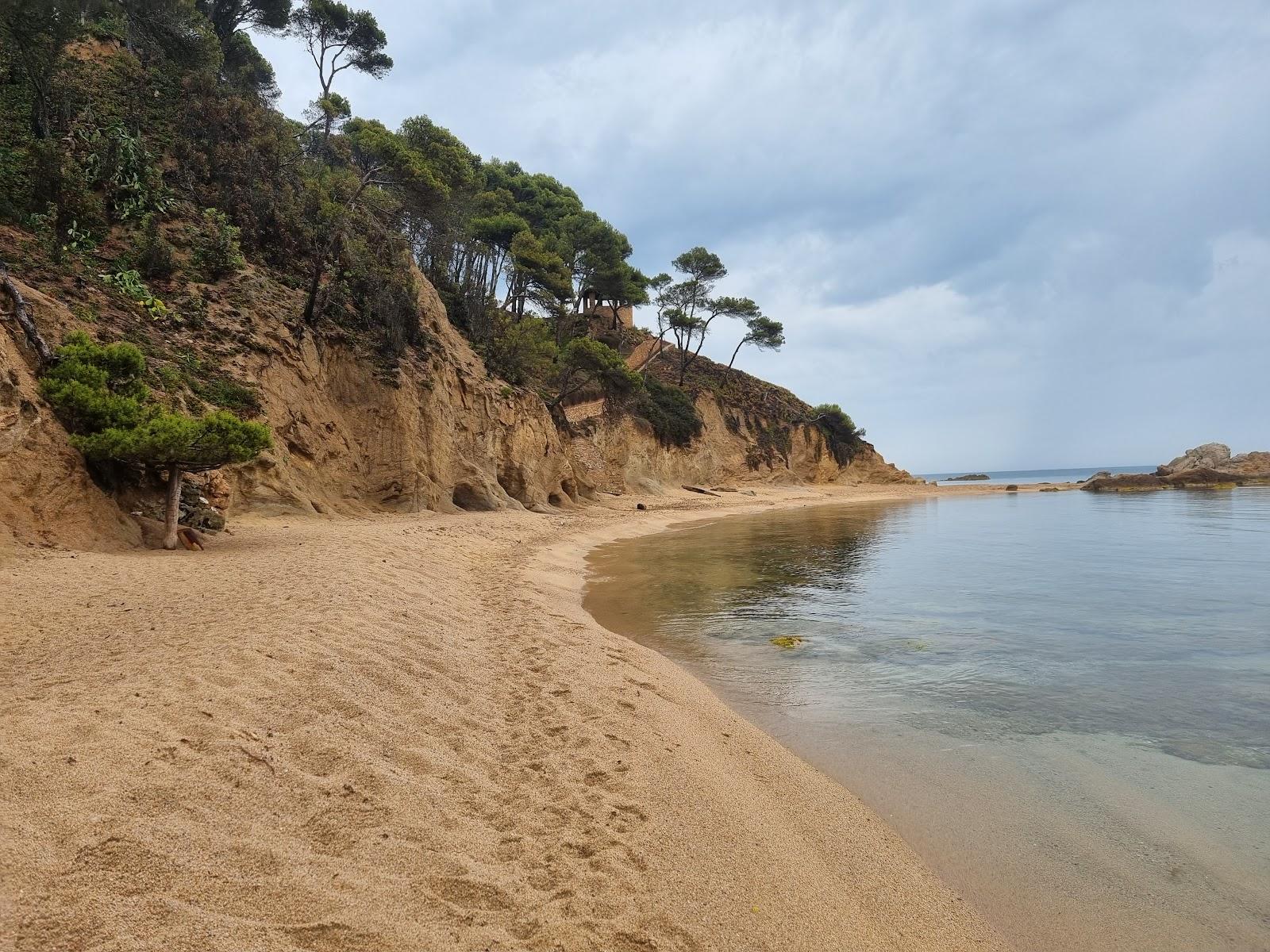 Sandee Cala Bona / Cala De La Cadena Photo