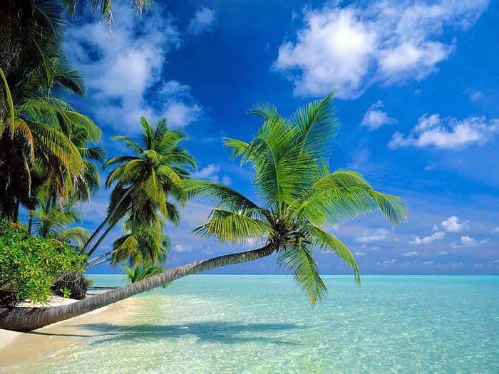 Sandee Hawaii Beach