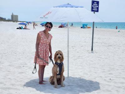 Sandee - Pensacola Dog Beach East