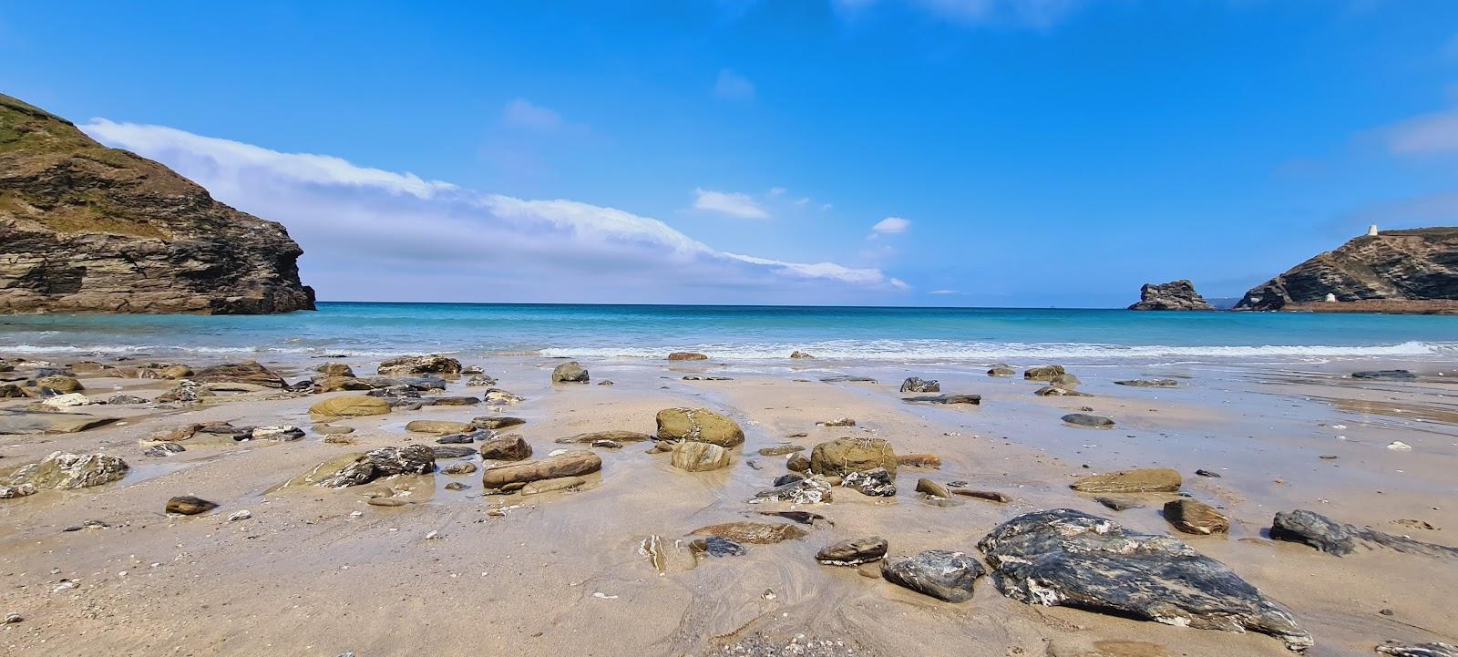 Sandee - Bassetts Cove Beach