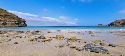 Sandee - Bassetts Cove Beach