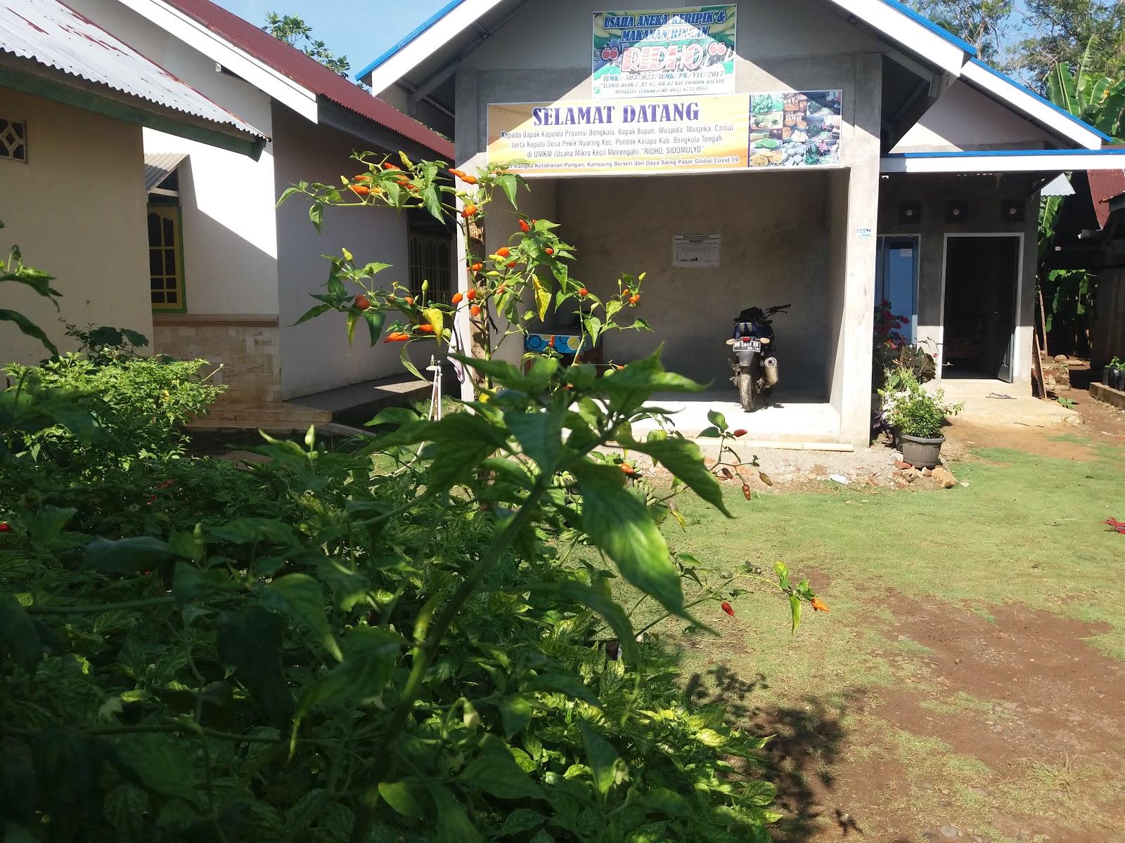 Sandee Tembhi Beach