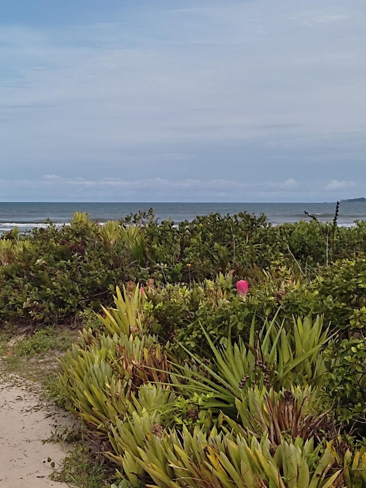 Sandee Praia Do Ararapira Photo