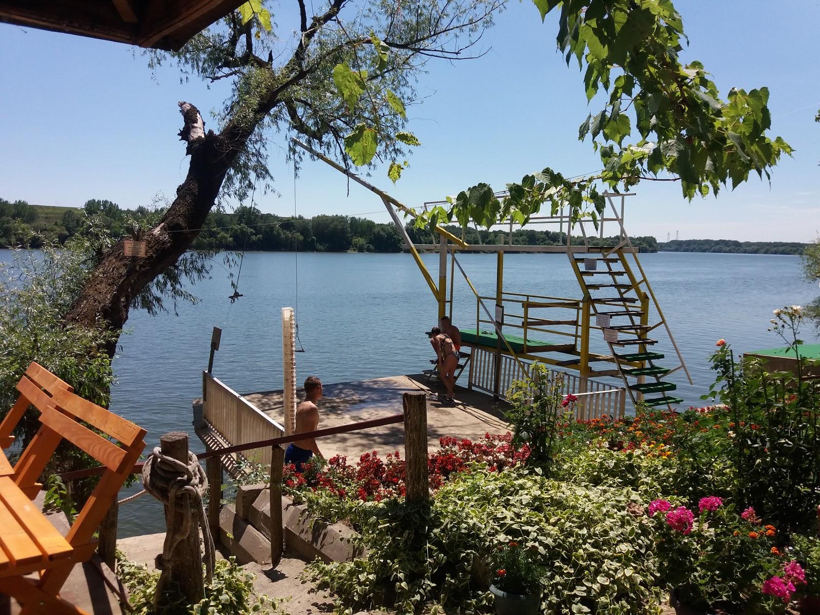Sandee Tarzan Plaza Progar
