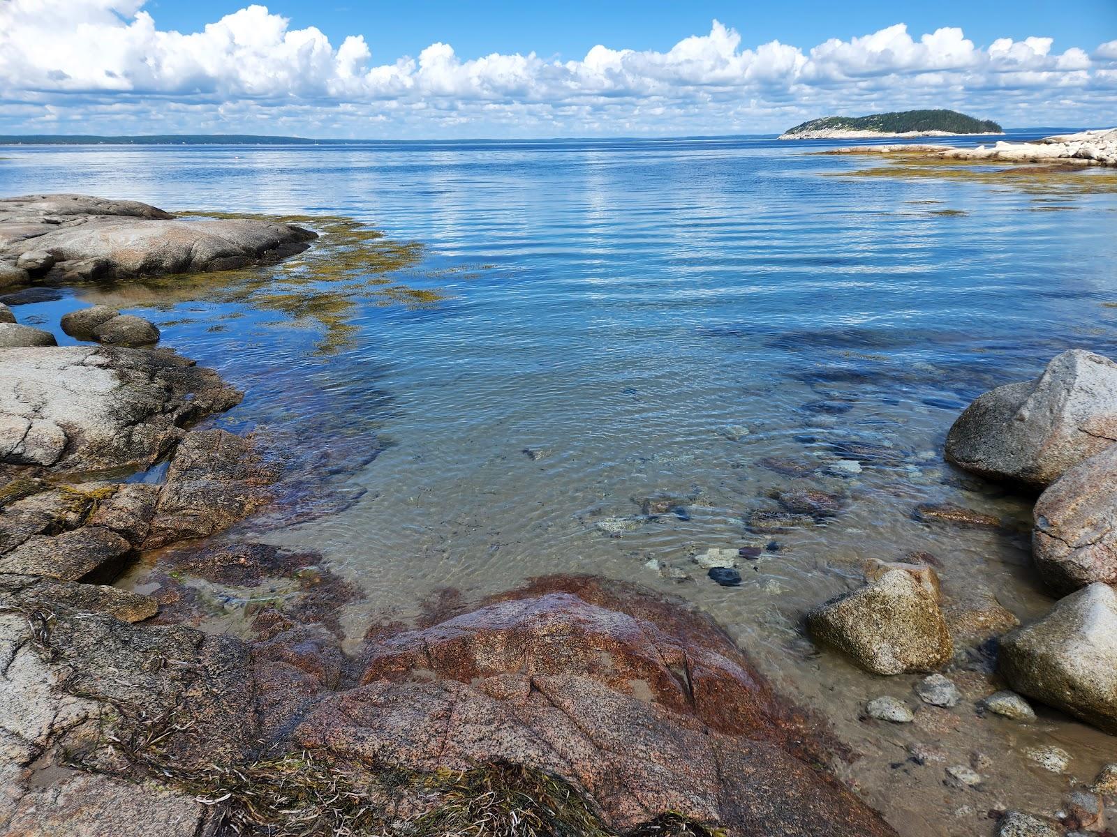 Sandee Paddys Head Beach