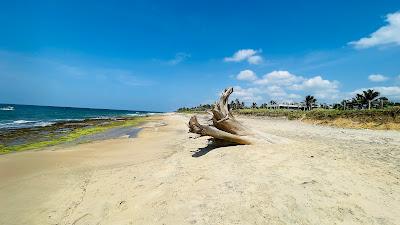 Sandee - Dungalpitiya Beach