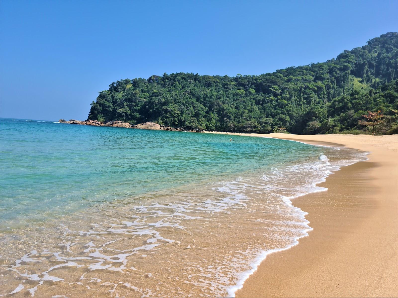 Sandee Praia Brava Surf Spot