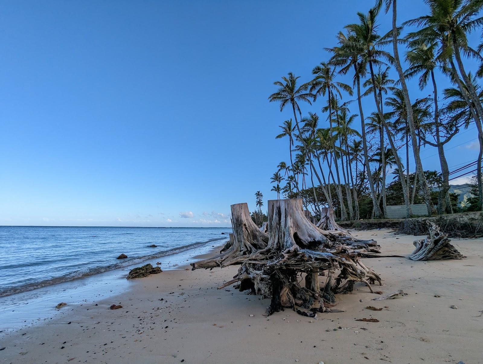 Sandee - Punaluu Beach Park