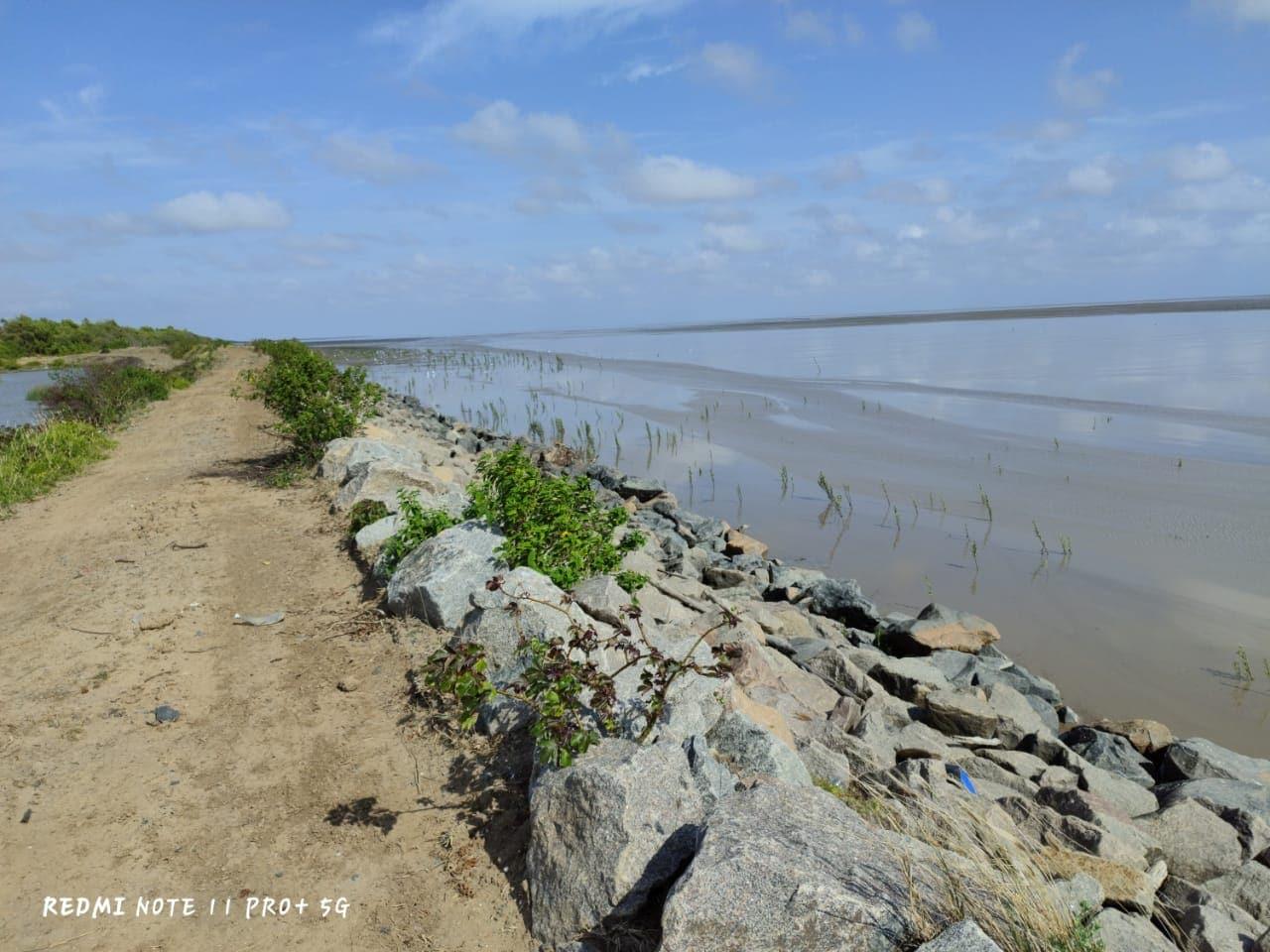 Sandee Bush Lot Beach Photo