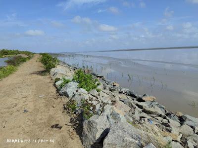 Sandee - Bush Lot Beach