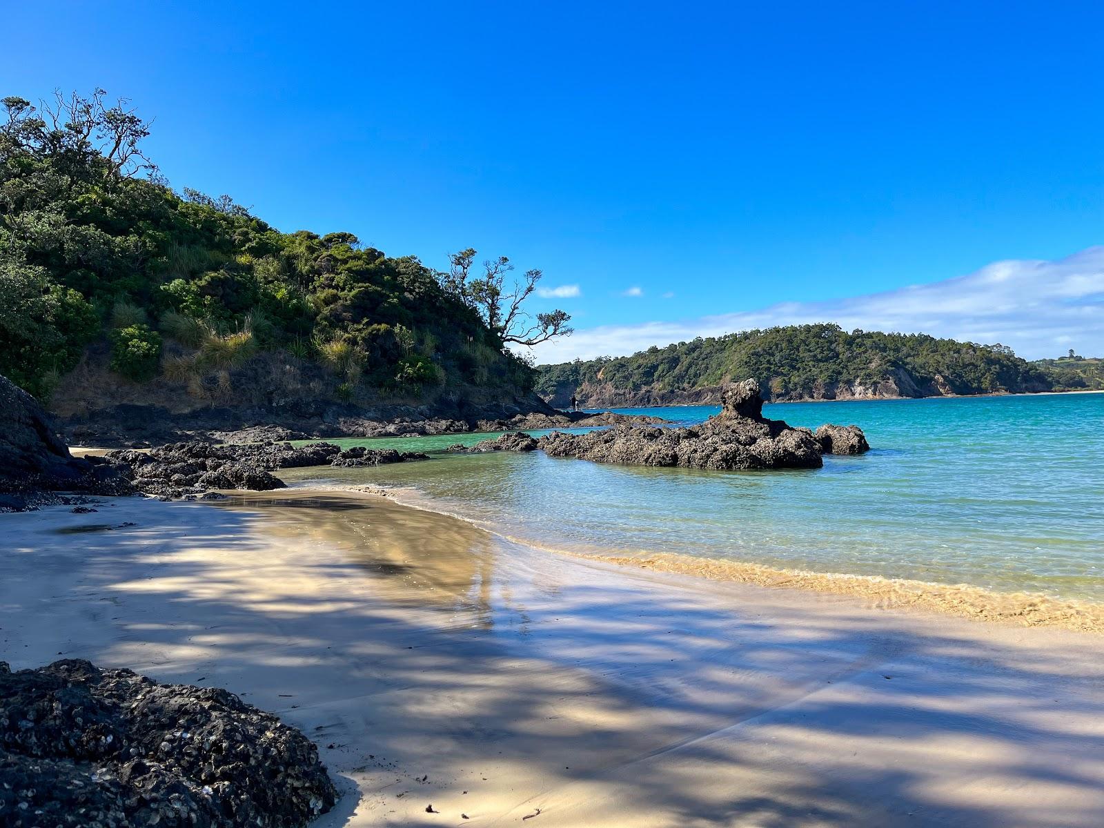 Sandee Matapouri Beach Photo