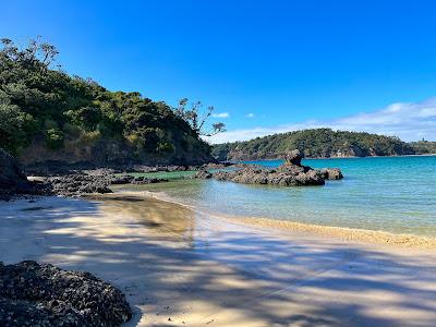 Sandee - Matapouri Beach