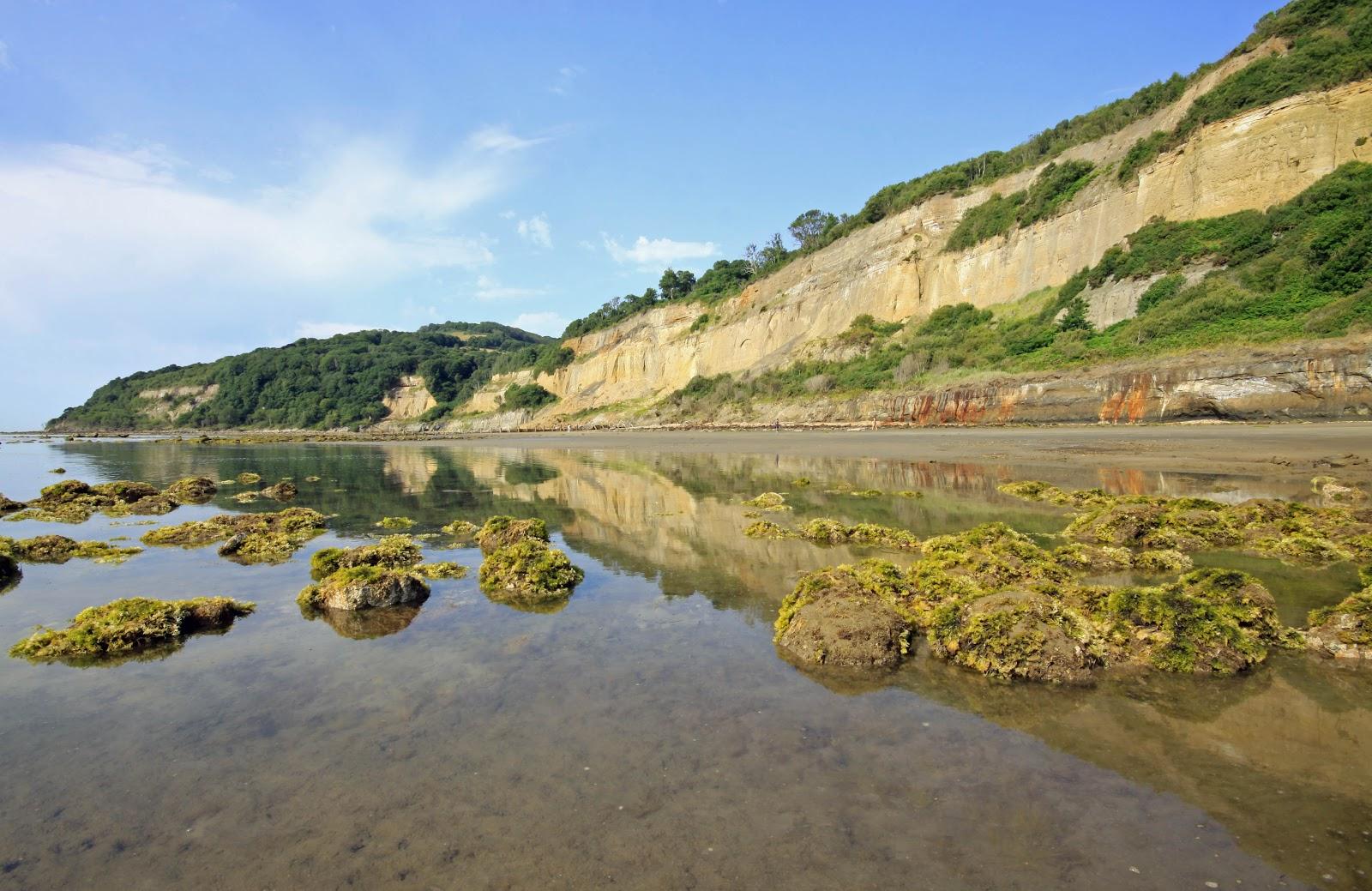 Sandee - Luccombe Bay