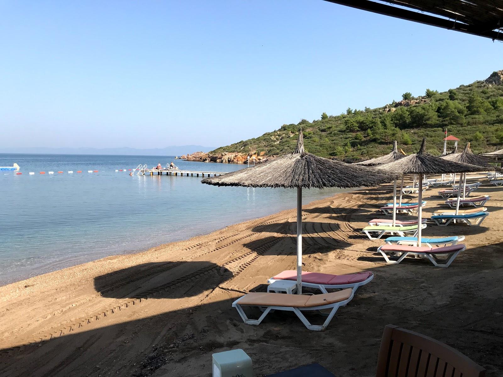 Sandee Beach Tilki Koyu