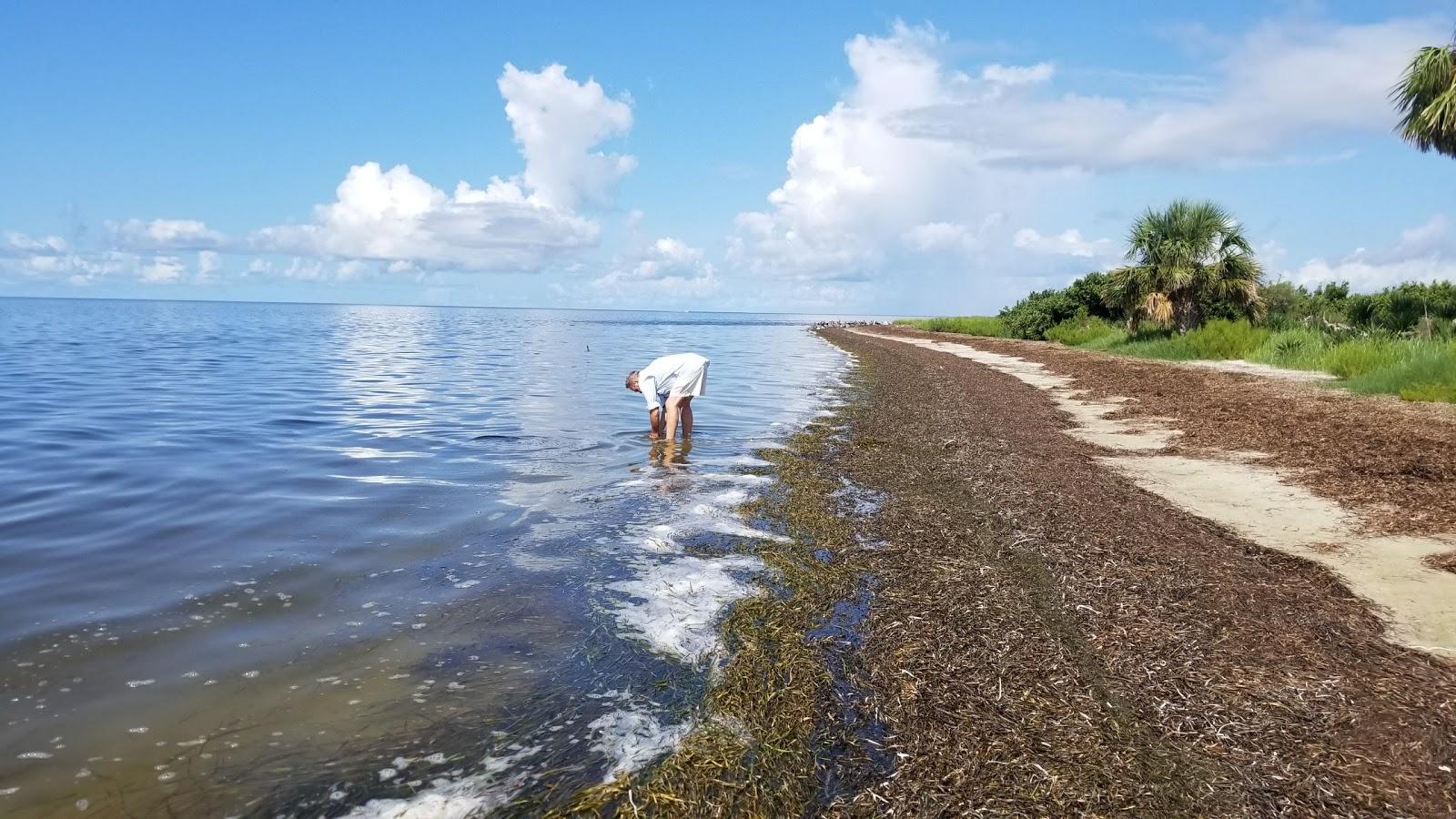 Sandee - HomePage / Horseshoe Beach