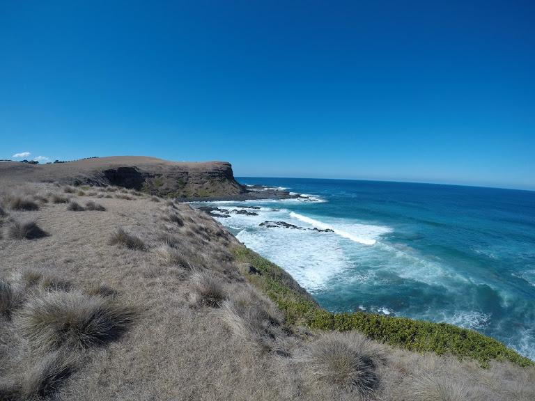 Sandee Simmons Bay Photo