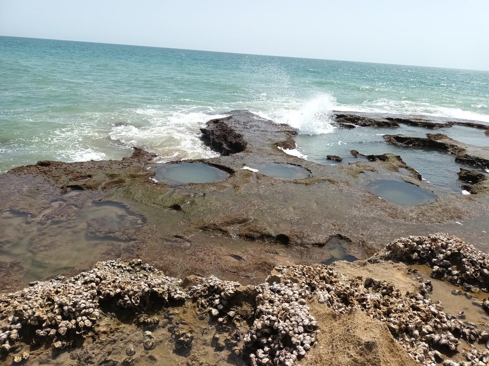 Sandee Wave Fashan Rock Any