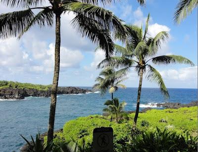 Sandee - Kapi'Olani Park