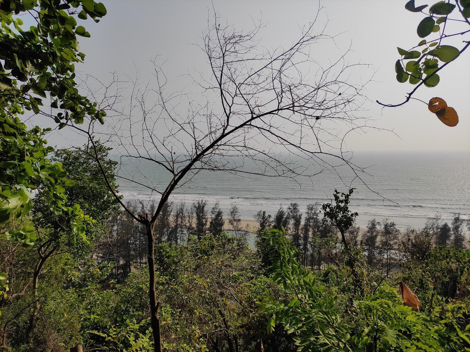 Sandee Himchhari Beach