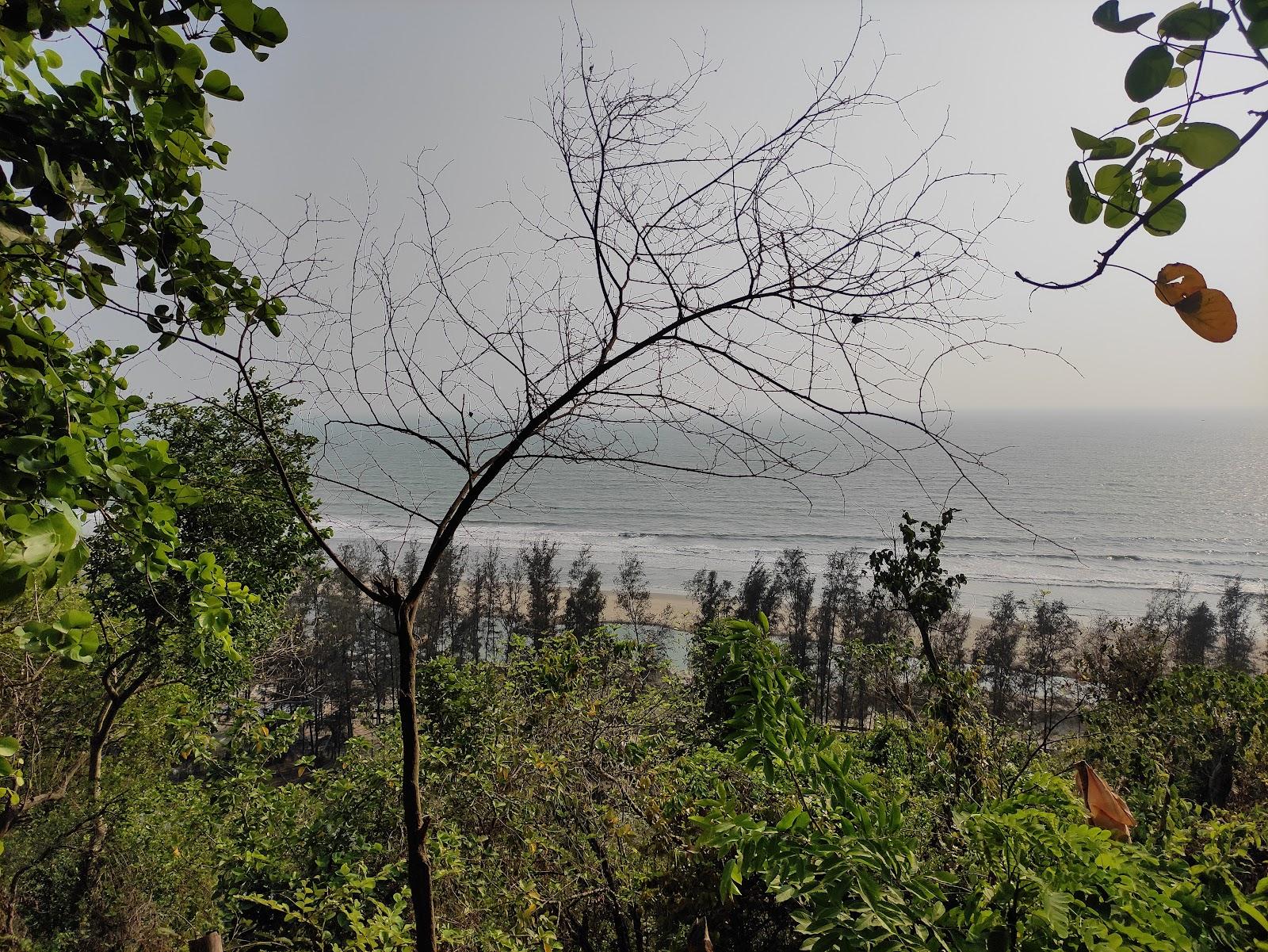 Sandee Himchhari Beach Photo