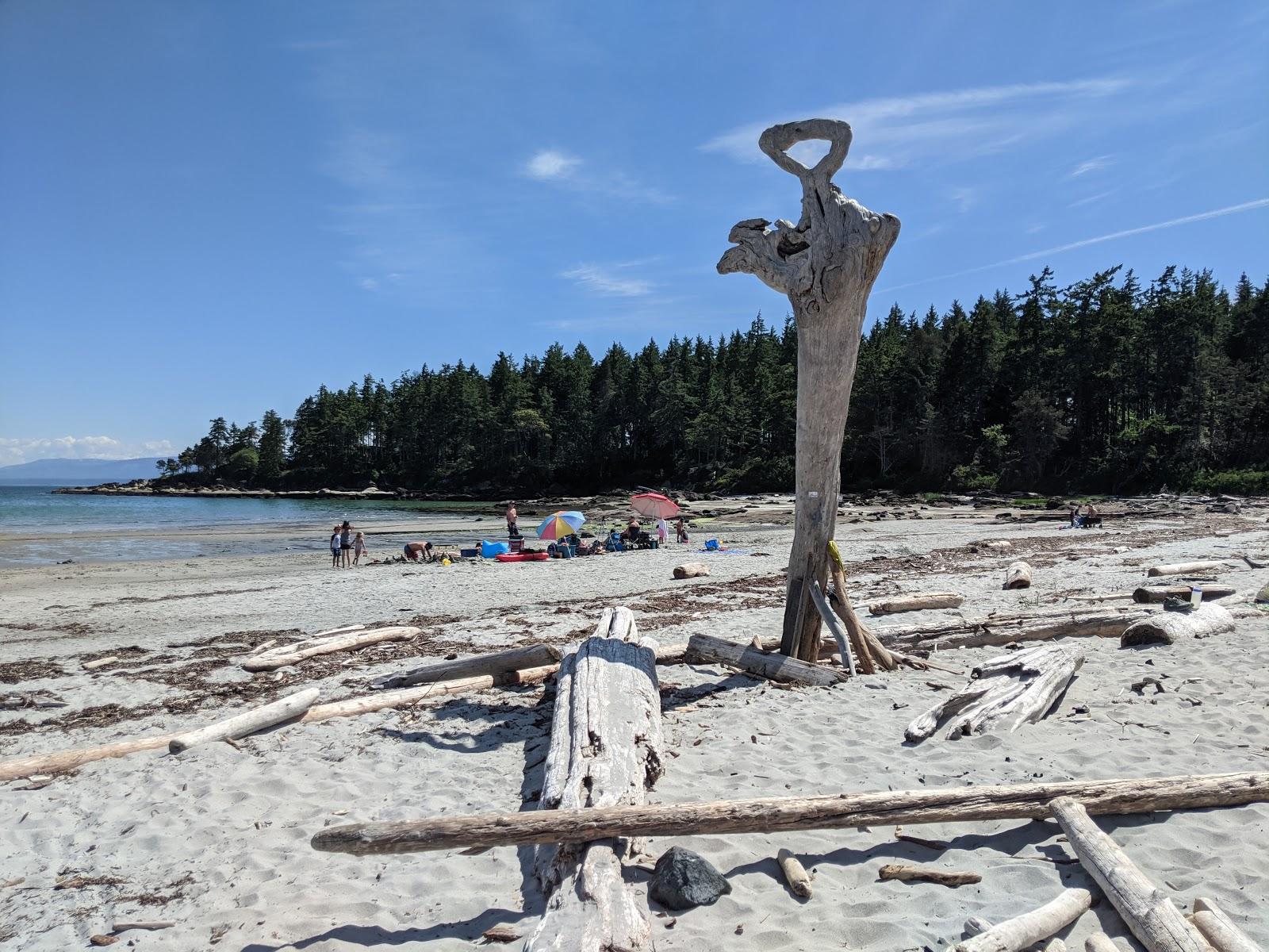 Sandee Tribune Bay Provincial Park