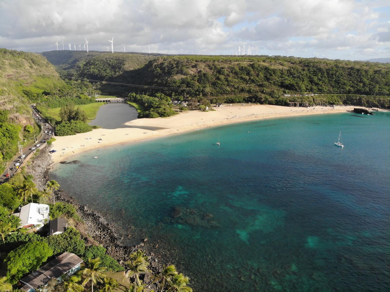 Sandee Shark's Cove Beach Photo