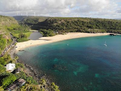 Sandee - Shark's Cove Beach