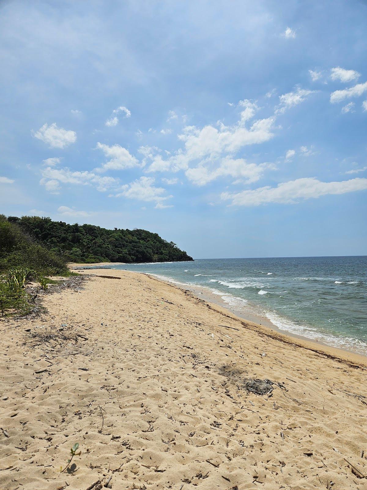 Sandee Olanen Beach Photo