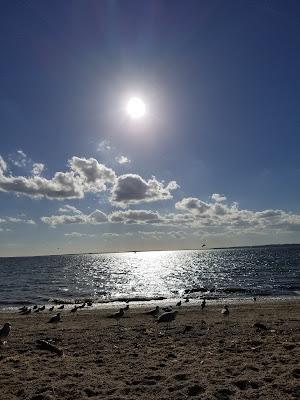 Sandee - Barrington Beach Parking