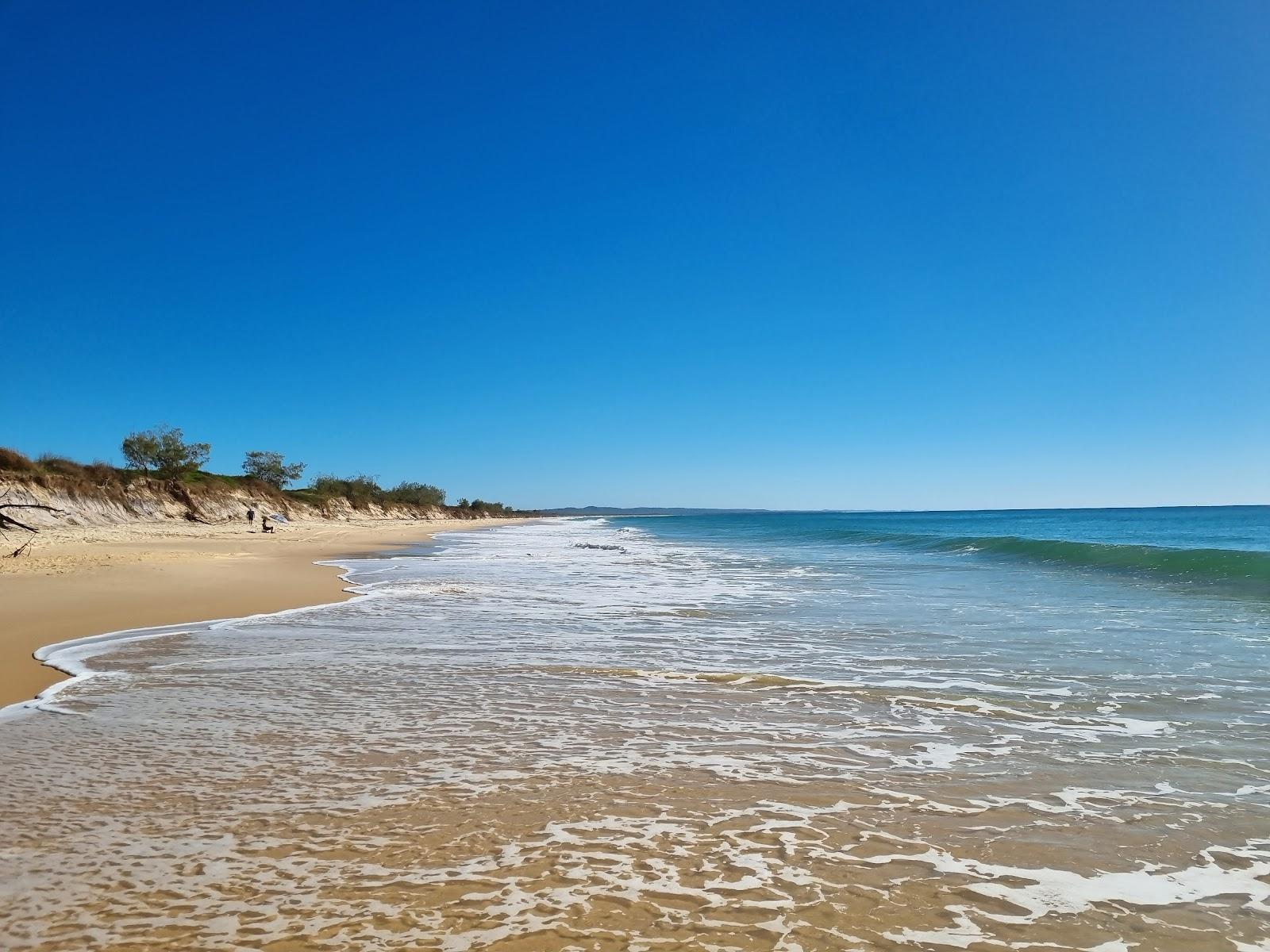 Sandee Pacific Boulevard Beach Access