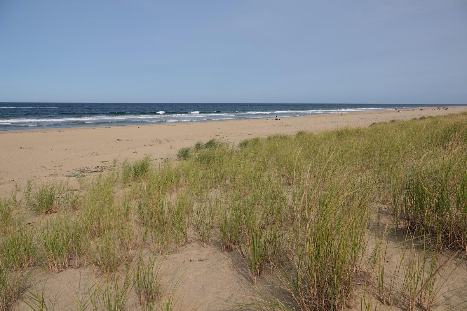 Sandee Head Of The Meadow National Seashore Photo