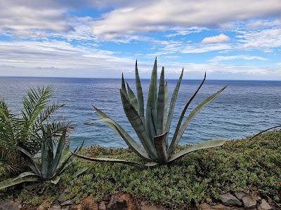 Sandee - Playa De Ruiz