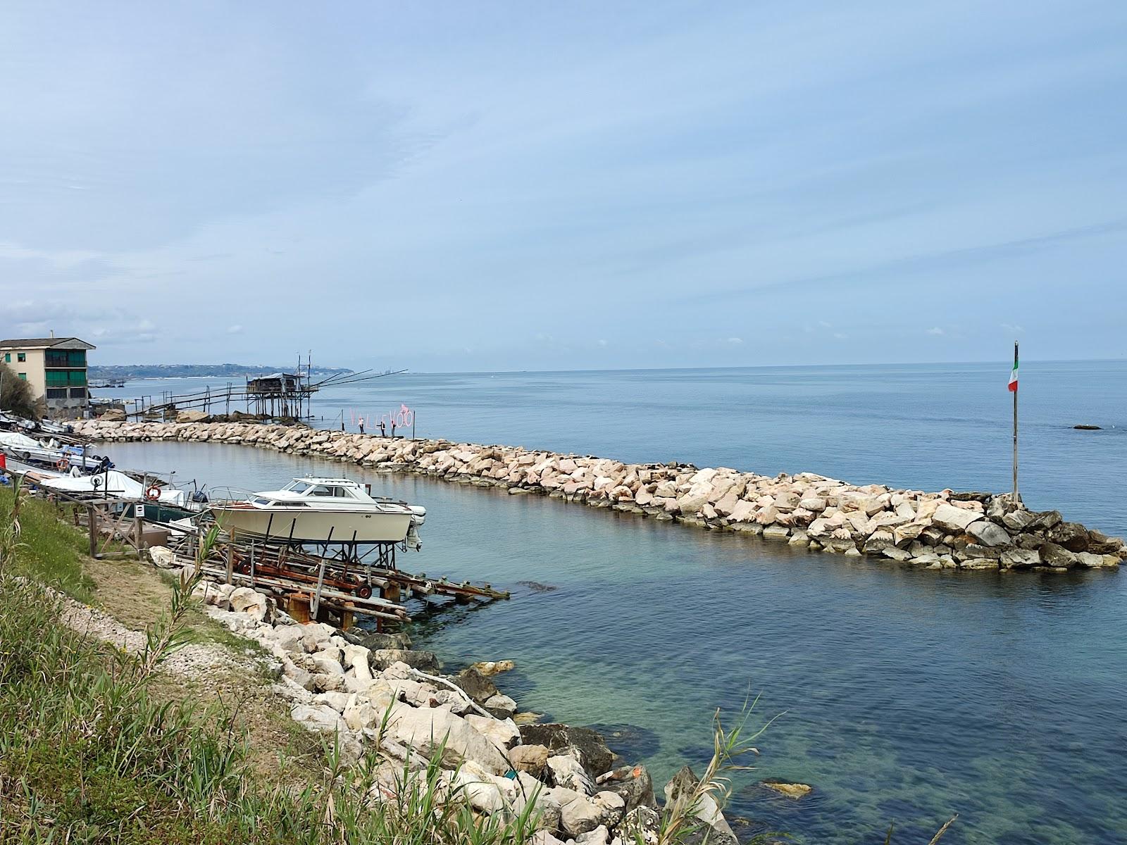 Sandee Trabocchi