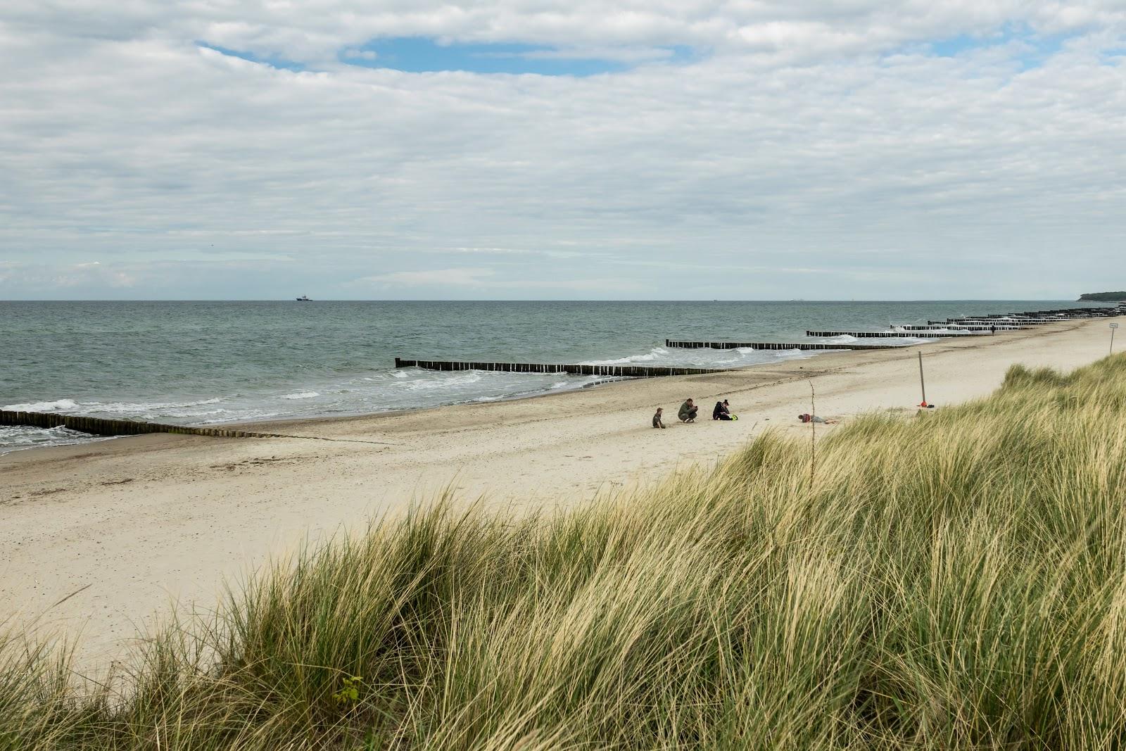 Sandee Hundestrand Heiligendamm