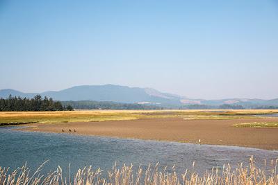 Sandee - Sitka Sedge State Natural Area