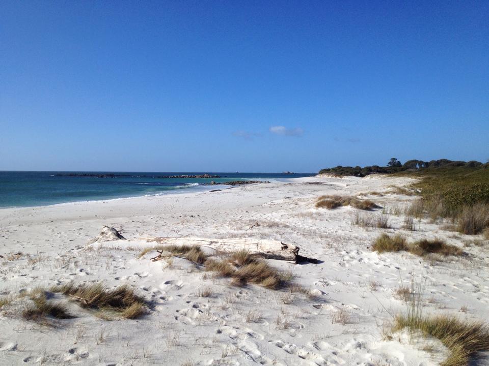 Sandee Stumpys Bay