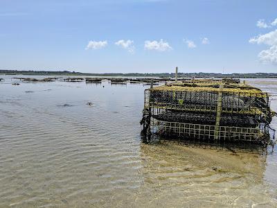 Sandee - Hatch Beach