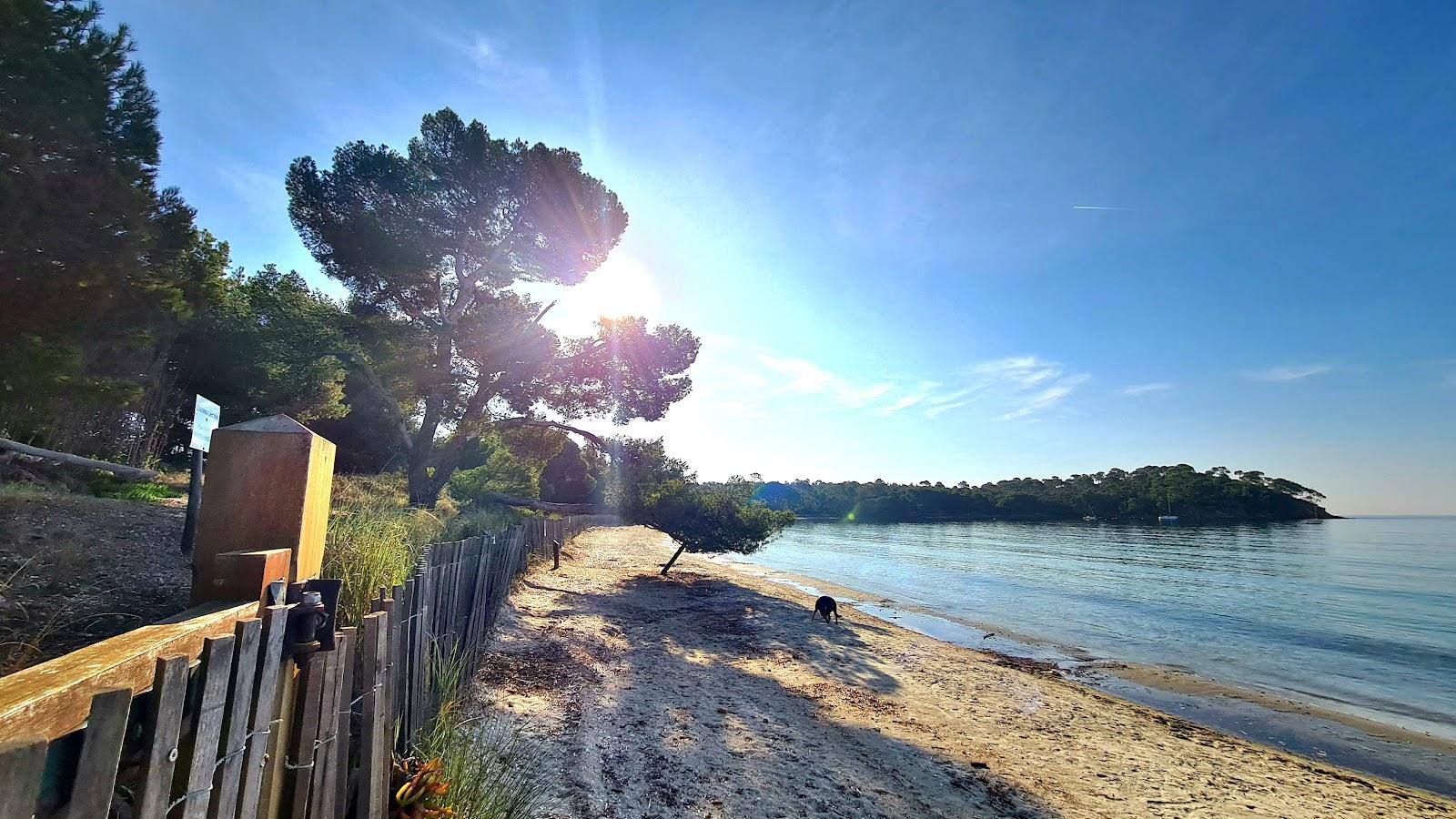 Sandee Plage De Leoube Photo